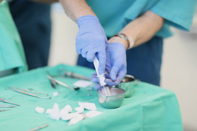Cirurgia para Animais de Médio Porte Marcar Chácara Primavera - Cirurgia Ortopédica Veterinária