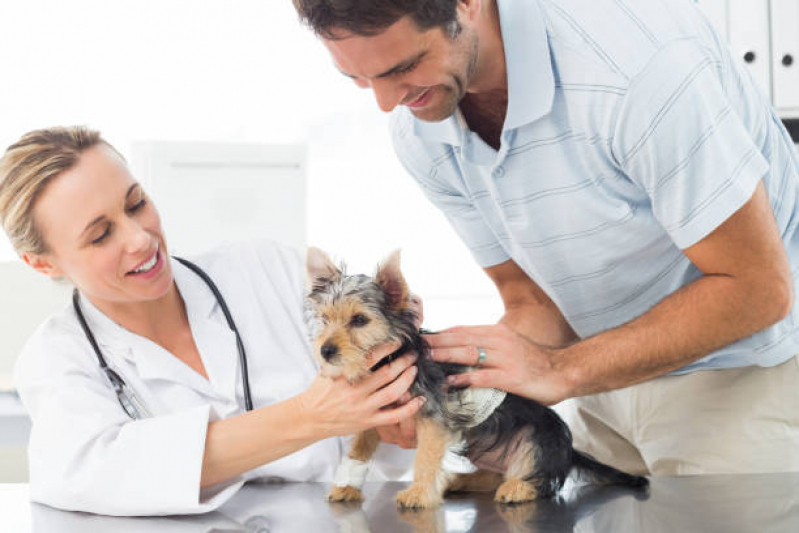 Consulta Veterinária para Animais de Estimação Agendar Vila Formosa - Consulta Veterinária Dermatológica para Cachorro