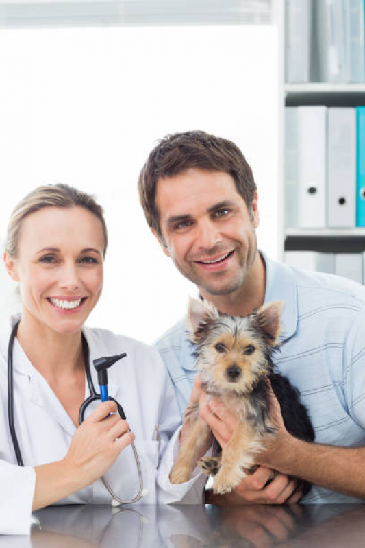 Consulta Veterinária para Animais de Estimação Preço Parque Valença - Consulta para Cachorro