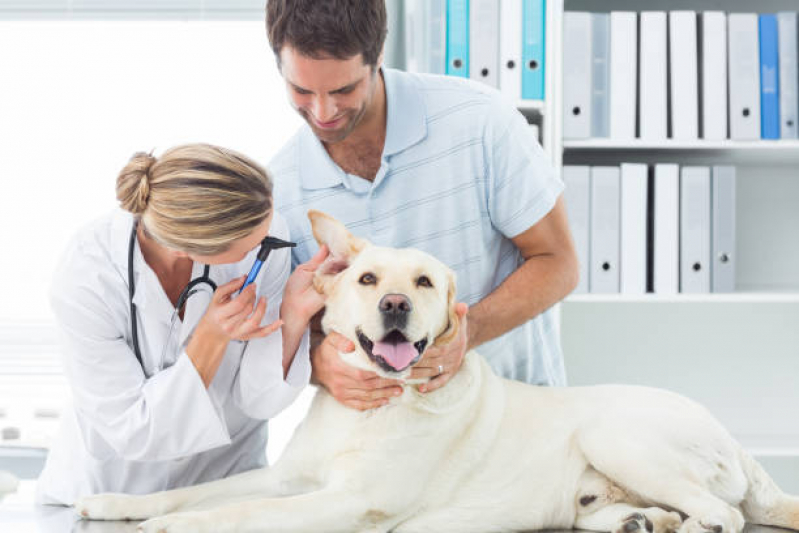 Consulta Veterinária para Cachorro Preço Bonfim - Consulta Veterinária Dermatológica para Cachorro