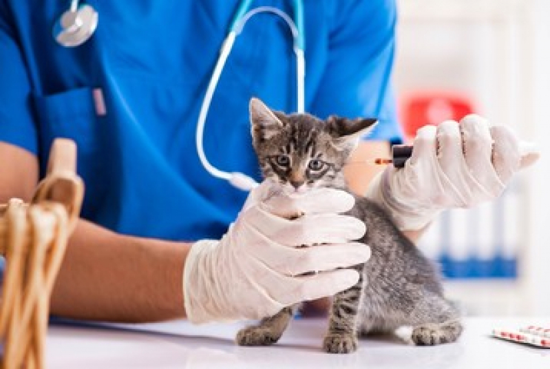 Exames Laboratoriais para Cães e Gatos Agendar Guanabara - Exames Laboratoriais para Cachorro