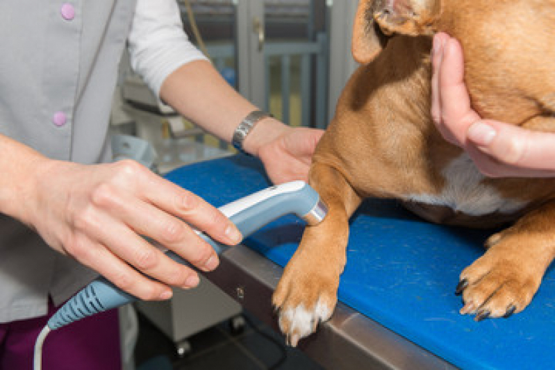 Laserterapia Cachorro Preço Vila Teixeira - Laserterapia para Animais