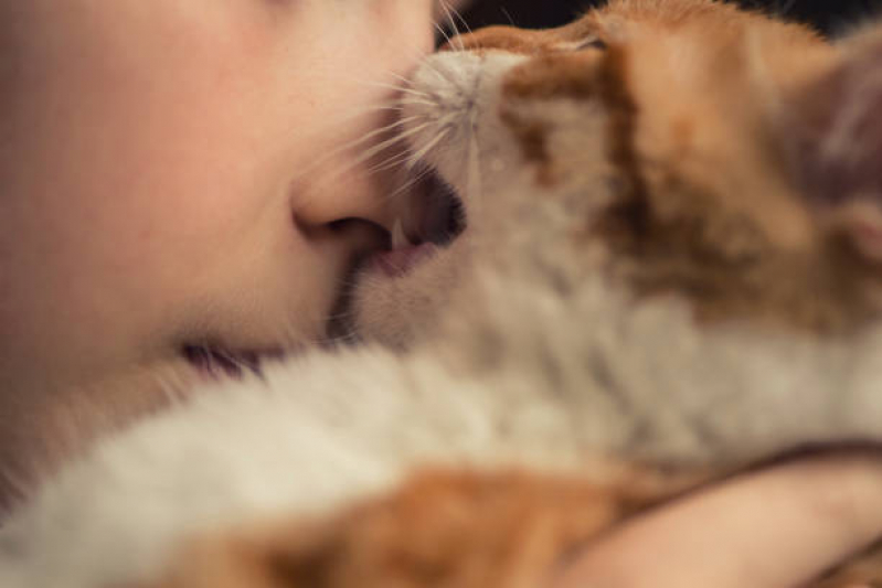 Odontologia Veterinária Vila União - Odonto para Cães e Gatos