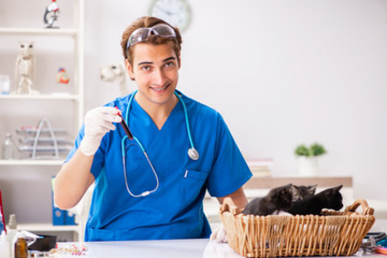 Onde Agendar Exames Laboratoriais para Cães e Gatos Residencial Parque Bandeirantes - Exames Laboratoriais para Gatos