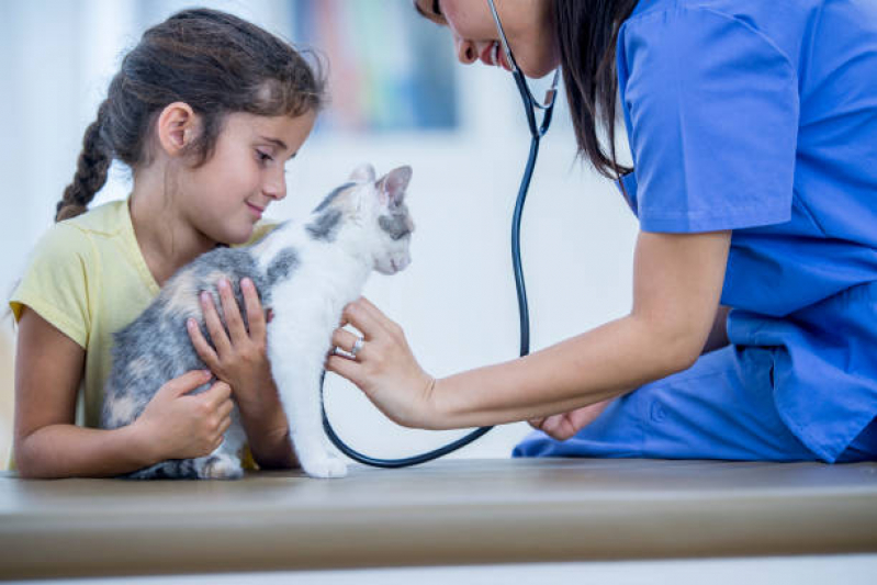 Onde Faz Check-up Veterinário para Gatos Mansões Santo Antônio - Check Up em Animais Domésticos