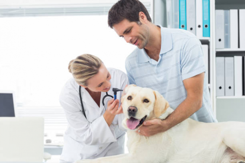 Onde Faz Consulta Veterinária Gato Alphaville - Consulta para Cachorro