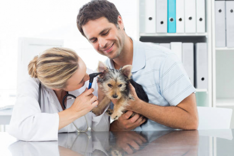 Onde Faz Consulta Veterinária para Animais de Estimação Bonfim - Consulta Veterinária Dermatológica para Cachorro