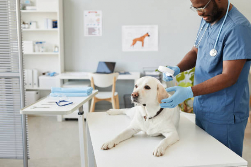 Onde Marcar Consulta para Cachorro Jardim Anton Von Zuben - Consulta Veterinária Dermatológica para Cachorro
