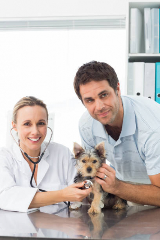 Onde Marcar Consulta Veterinária para Animais de Estimação Jardim Capivari - Consulta para Cachorro