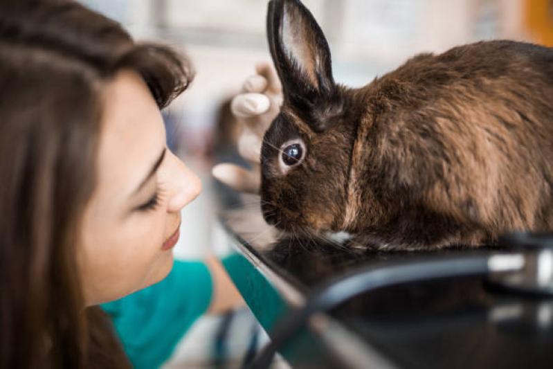 Veterinários