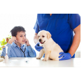 Atendimento Veterinário a Domicílio para Cachorros