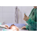 cirurgia luxação de patela cães marcar Vila Nogueira