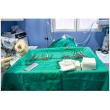 cirurgia ortopédica em cães marcar Vila Nogueira