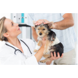 consulta veterinária para animais de estimação Bonfim