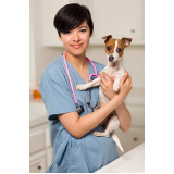 consulta veterinária para cachorros preço Jardim Aurélia