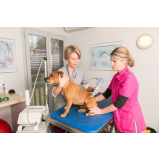 laserterapia para animais preço DIC IV