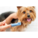 odontologia para cachorros Vila Castelo Branco