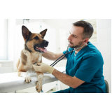 onde agendar atendimento veterinário a domicílio para cachorros Alphaville
