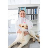 onde faz consulta veterinária dermatológica para cachorro Vila Perseu Leite de Barros
