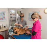 onde faz laserterapia para animais domésticos Vila Teixeira