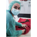 onde fazer cirurgia de catarata cachorro Vila Rica