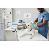 onde marcar consulta veterinária cachorro Chácara da Barra