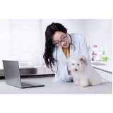 onde marcar consulta veterinária dermatológica para cachorro Carlos Gomes