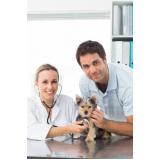 onde marcar consulta veterinária para animais de estimação Vila Nogueira