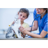onde tem check-up veterinário para gatos Vila Formosa