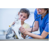 check up em animais domésticos valores Jardim do Lago