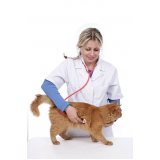 onde faz check up em cachorro Jardim Aeronave